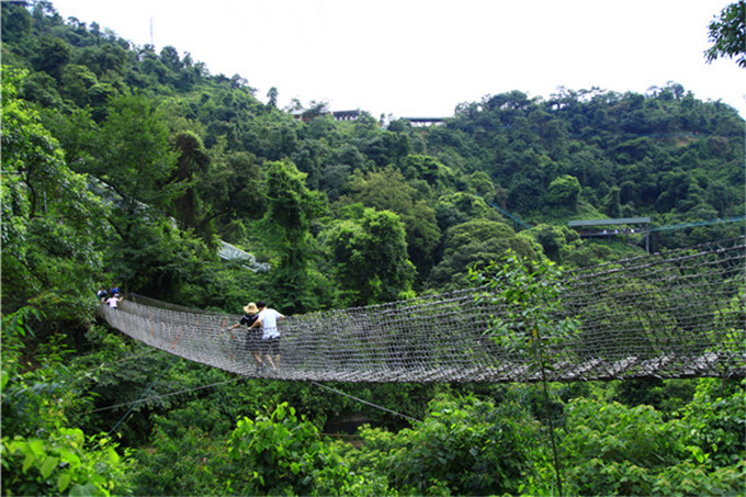 高考放榜了,学子们带上准考证来佛山南丹山可以免门票入园