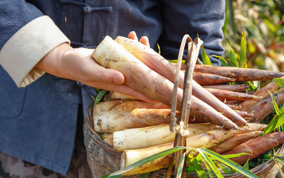 正值初春,这4种蔬菜要多吃,鲜嫩可口有营养,季节变化少感冒|春笋|山药