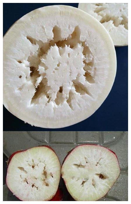 买萝卜时,碰上这4种,切记便宜也别买,可能会是"糠心"萝卜