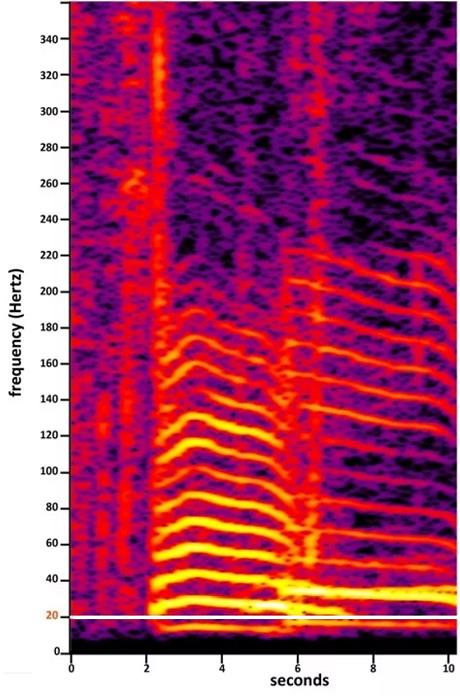 朋友们解答下，ptalkAI玩具机芯是什么？能做什么？