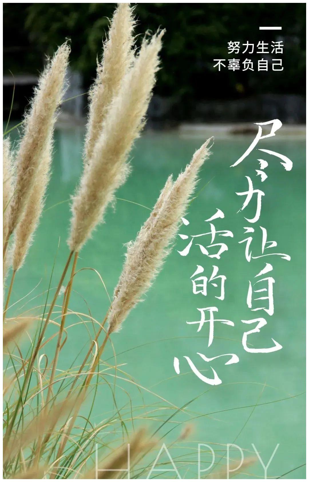 顺其自然是竭尽所能后的不强求