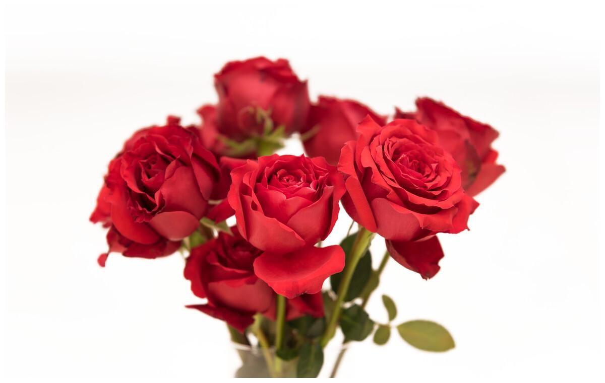 让男人如痴如醉的三大星座女 星座 双鱼 职场 新浪新闻