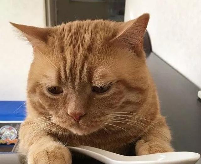 毫无斗志,萎靡不振,只想待在空调间里,挖着勺子,吃西瓜.