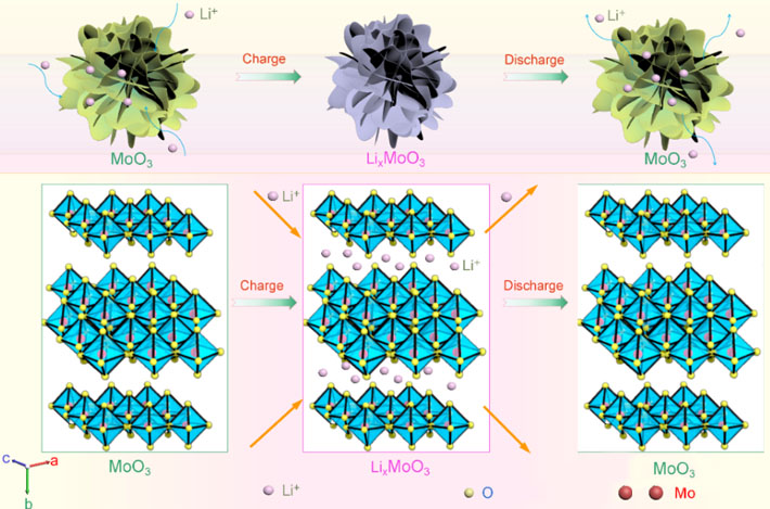 新型moo3储锂性能的提高