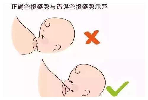 四个要点掌握,轻松分泌母乳|奶水|母乳|催奶_新浪新闻