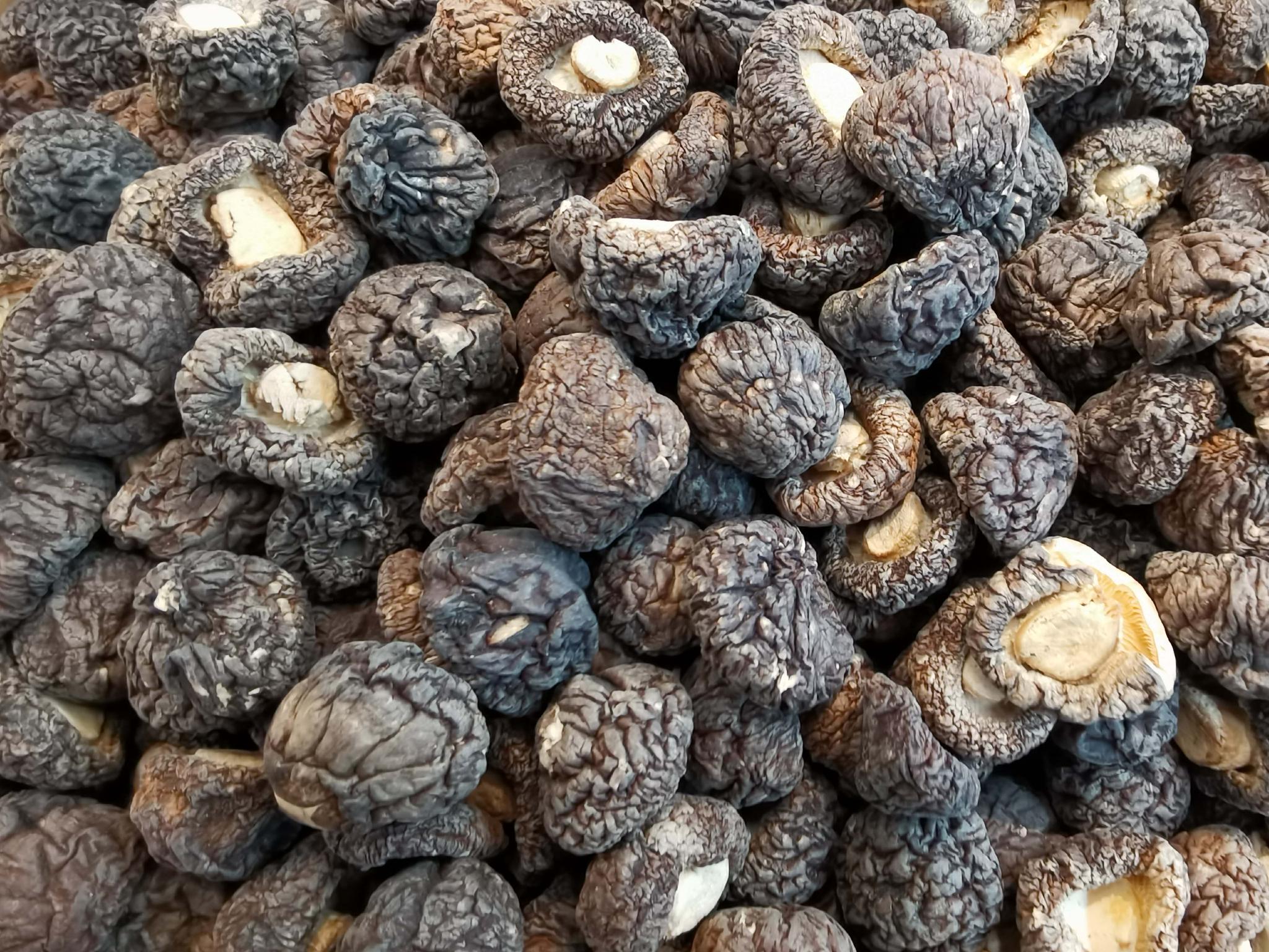 风干的黑面香菇,原创拍摄|香菇|原创|拍摄_新浪新闻