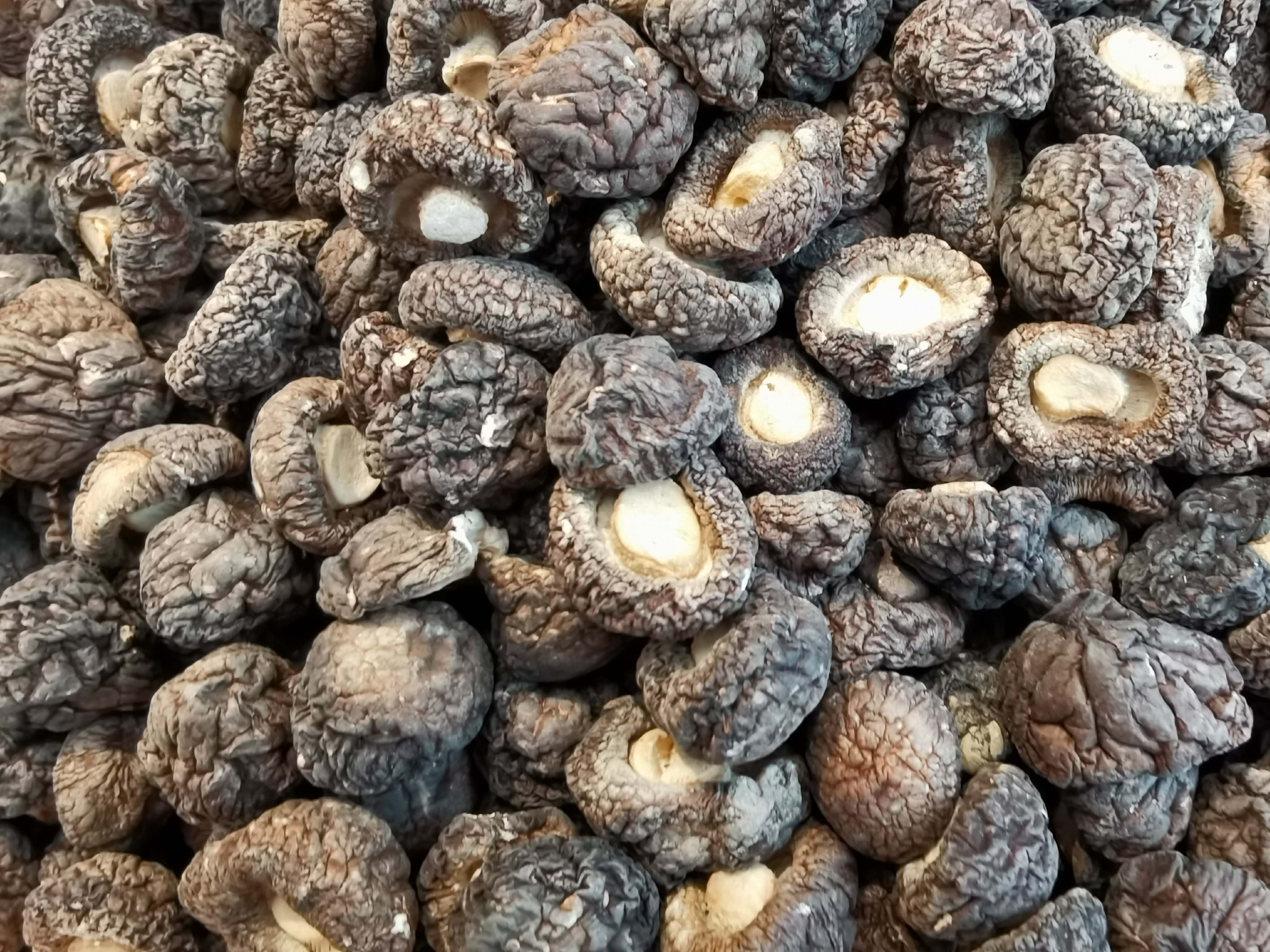 风干的黑面香菇,原创拍摄|香菇|原创|拍摄_新浪新闻