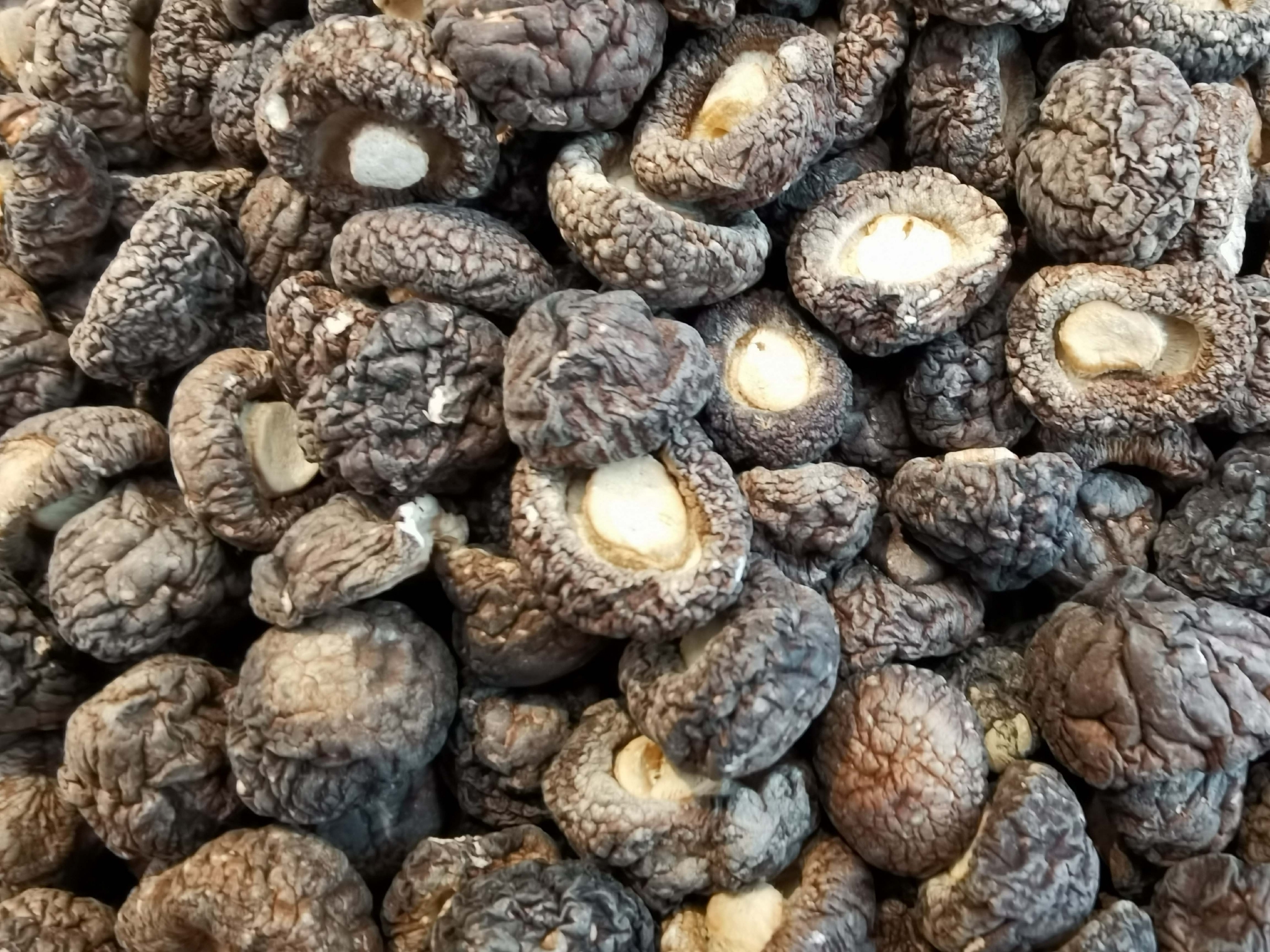 风干的黑面香菇,原创拍摄|香菇|原创|拍摄_新浪新闻