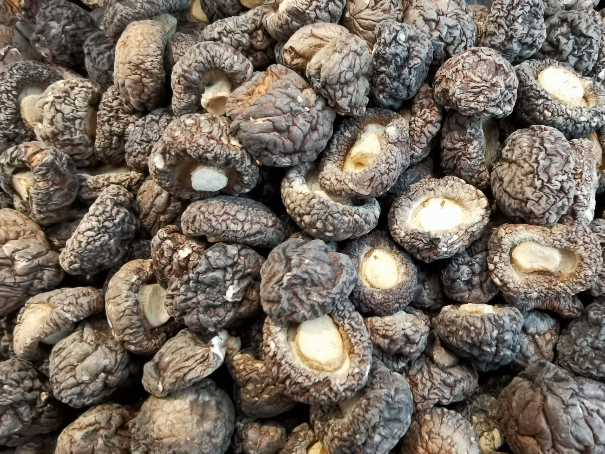 风干的黑面香菇,原创拍摄|香菇|原创|拍摄_新浪新闻