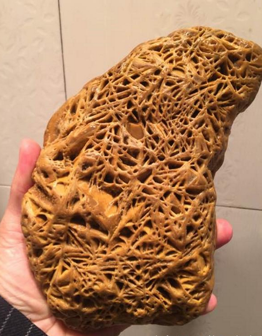 男子野外探险发现罕见奇石发到网上立马引起热议