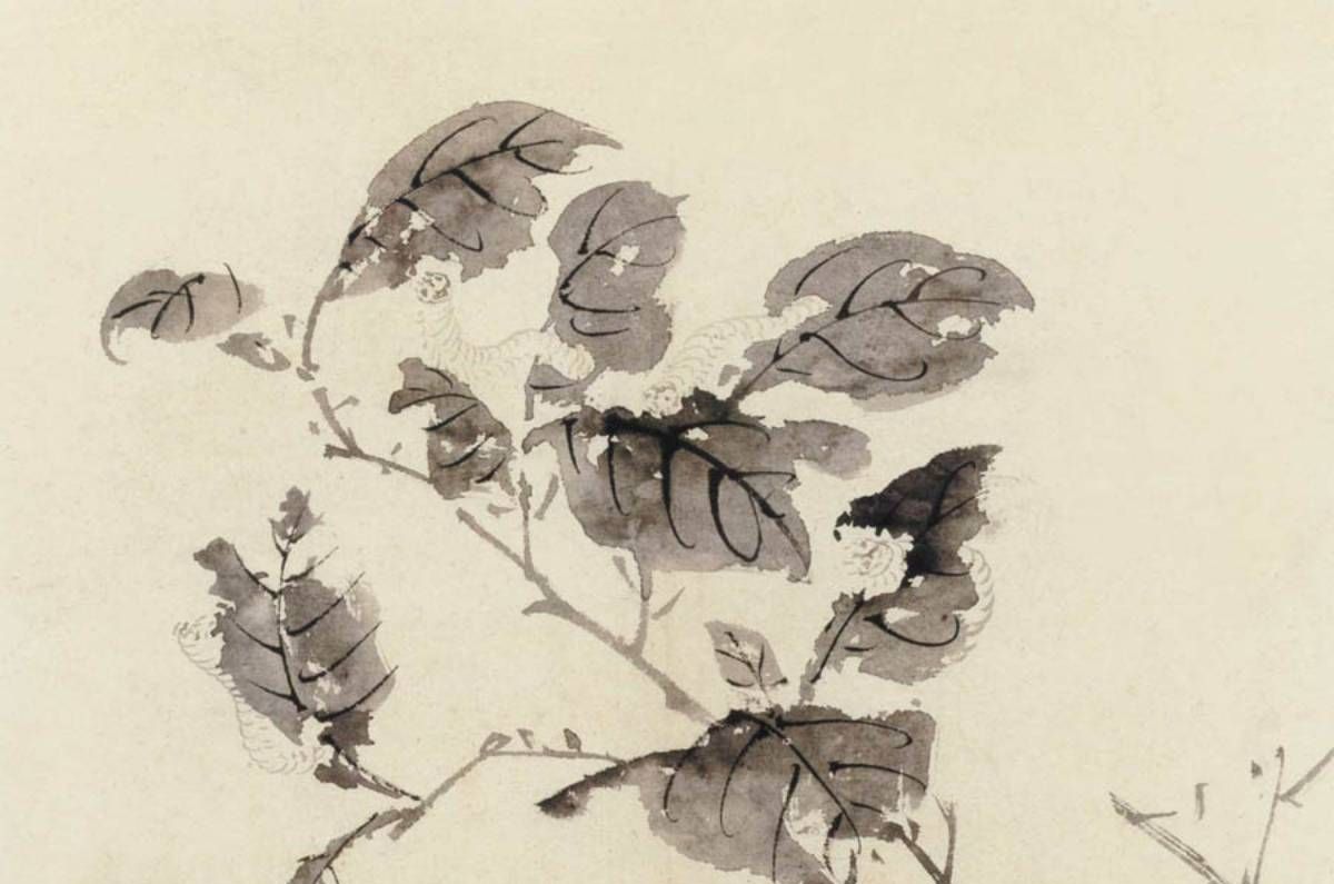 上海博物馆藏陈淳大写意花卉册页__财经头条