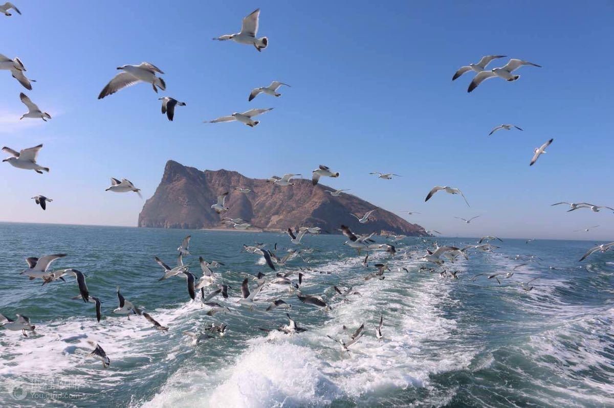 烟台夏季热门旅游景点 长岛风景区旅游攻略 免费语音导游