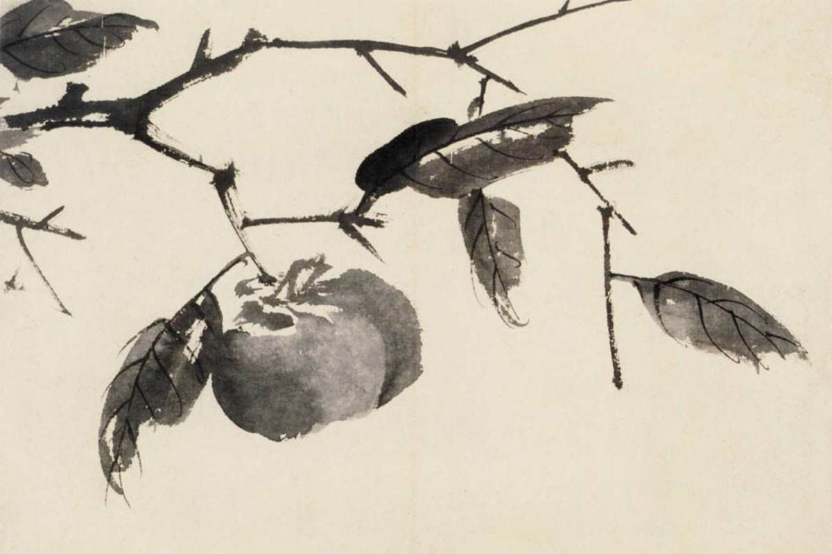 上海博物馆藏陈淳大写意花卉册页__财经头条