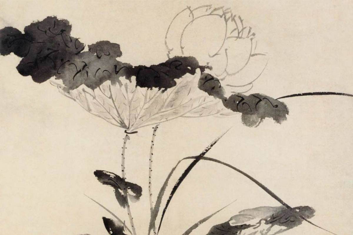 上海博物馆藏陈淳大写意花卉册页__财经头条
