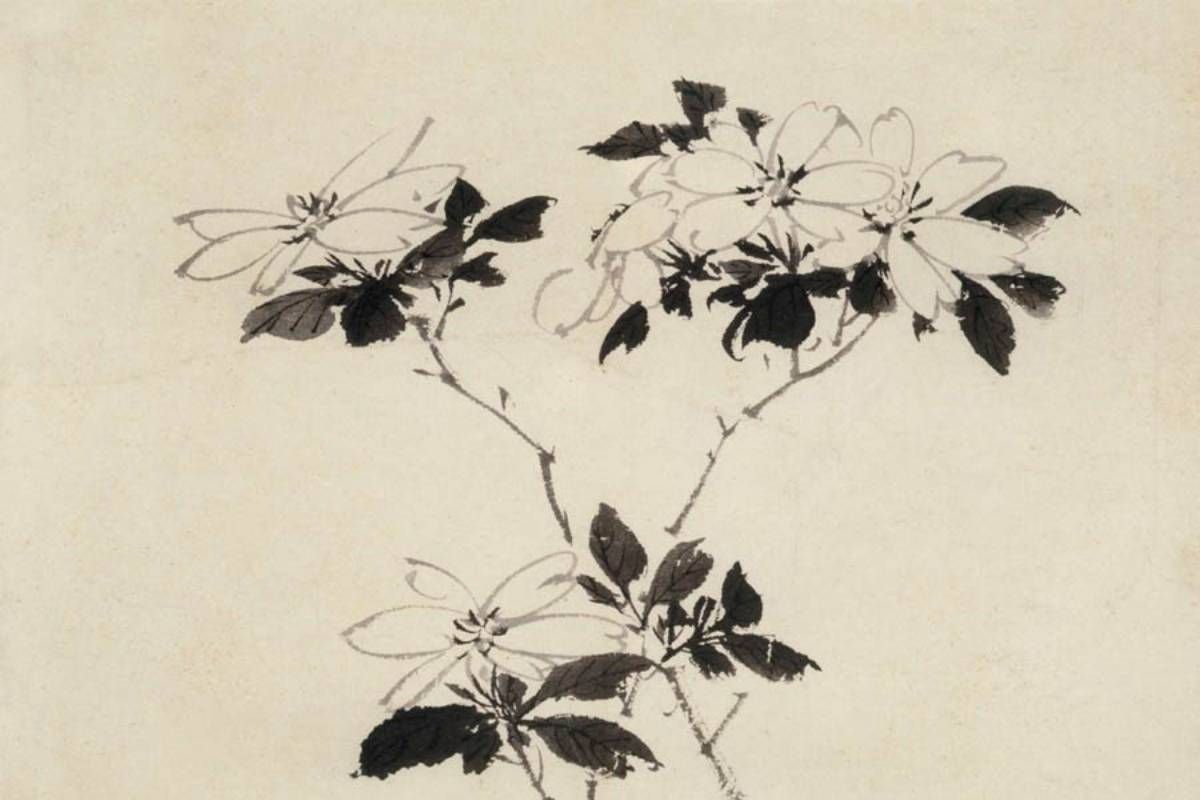上海博物馆藏陈淳大写意花卉册页__财经头条