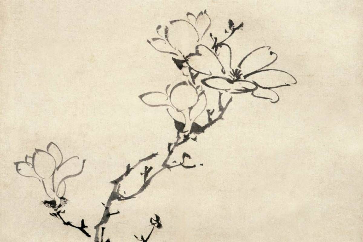 上海博物馆藏陈淳大写意花卉册页__财经头条