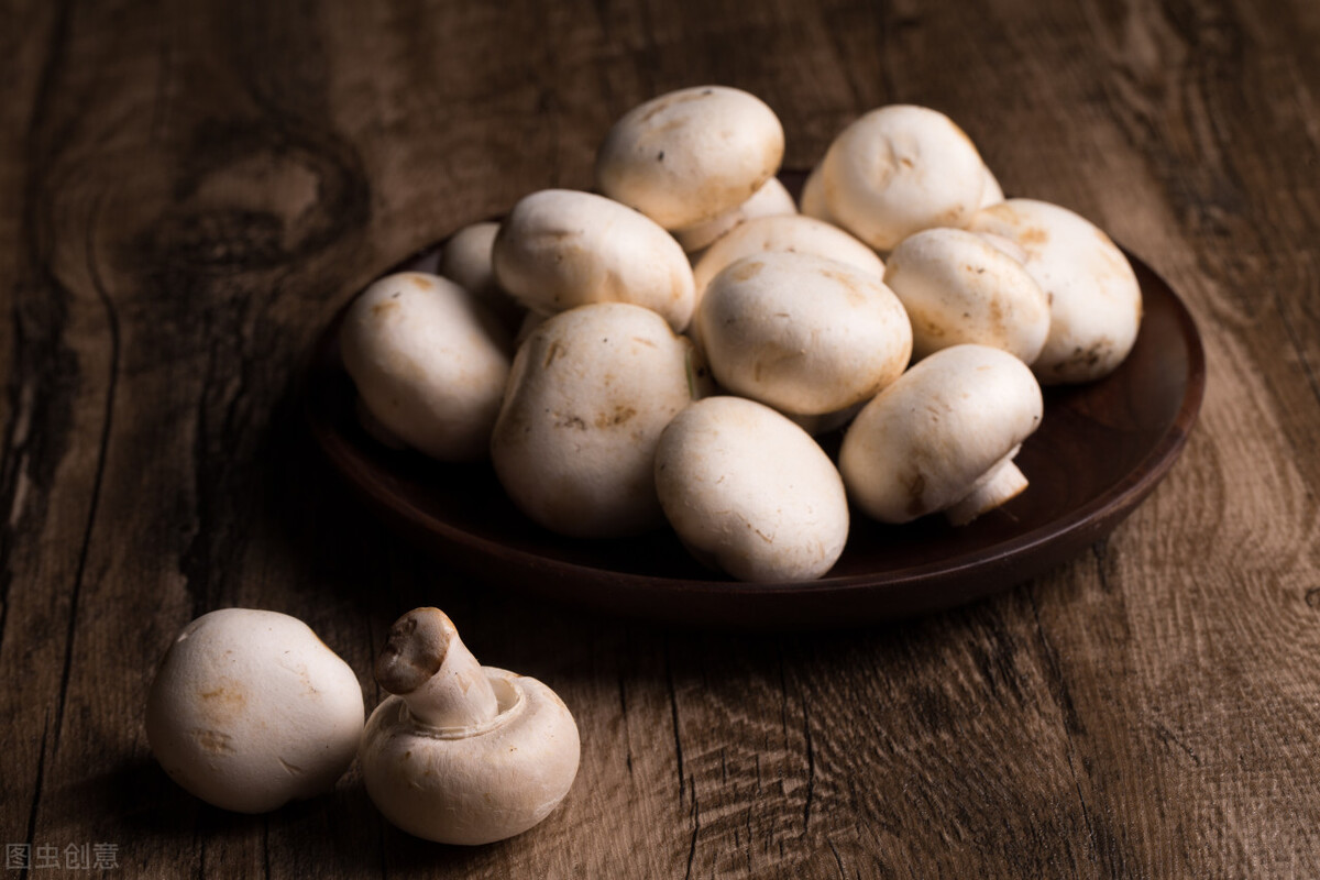 菌肉白色,厚,具香气!口蘑栽培技术|口蘑|菌肉|菌丝_新浪新闻