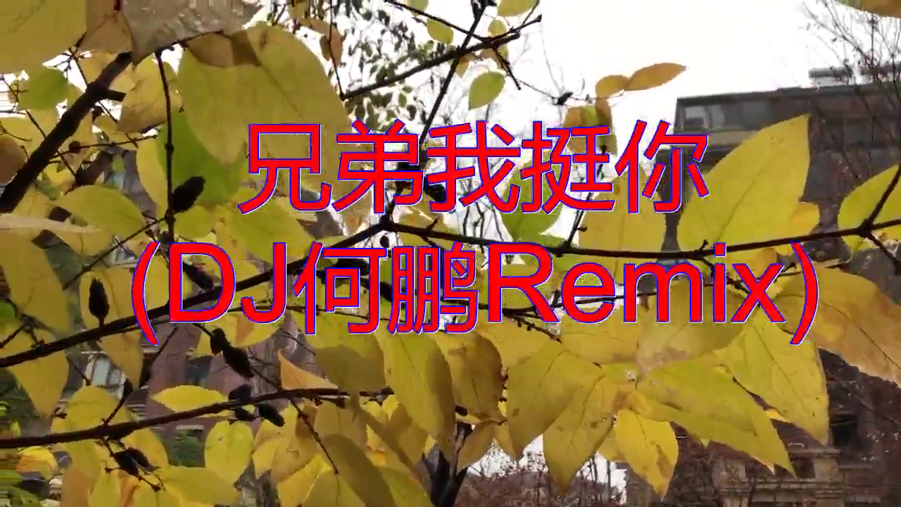 分享一首《兄弟我挺你 (dj何鹏remix)》,百听不厌,越听越好听