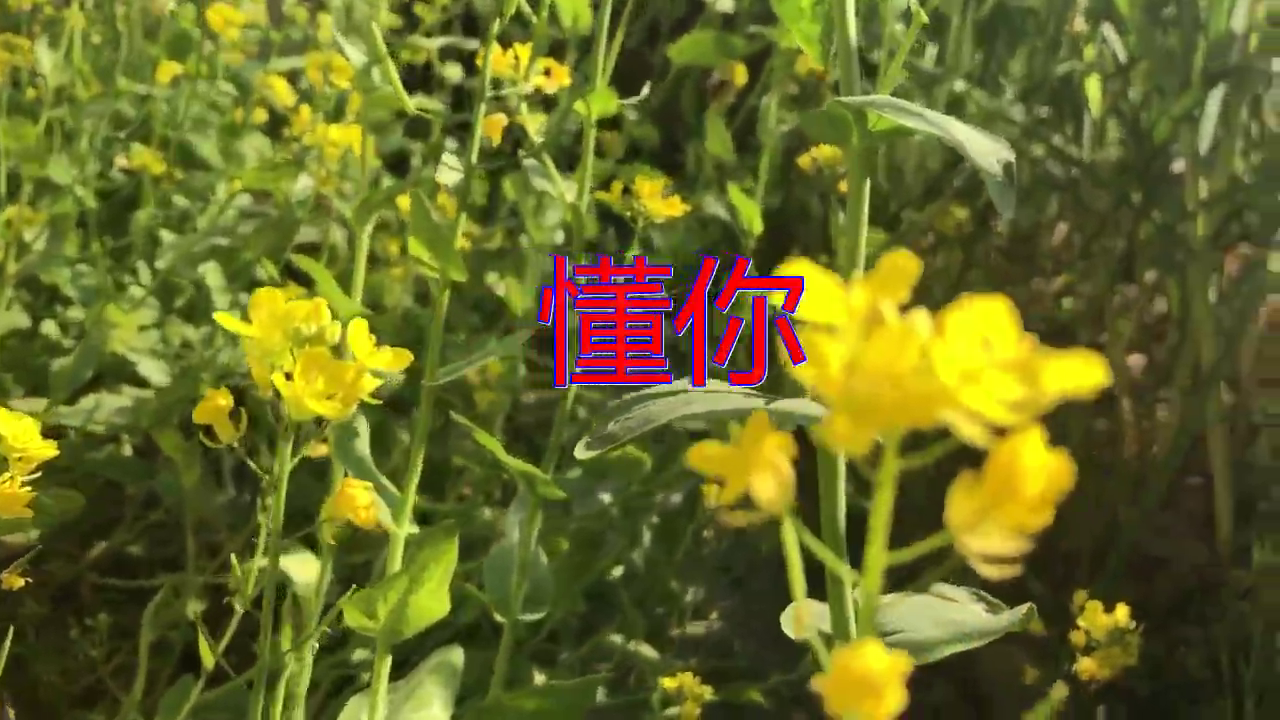 分享望海高歌的经典歌曲《懂你》,唱得情深深,很好听的哦