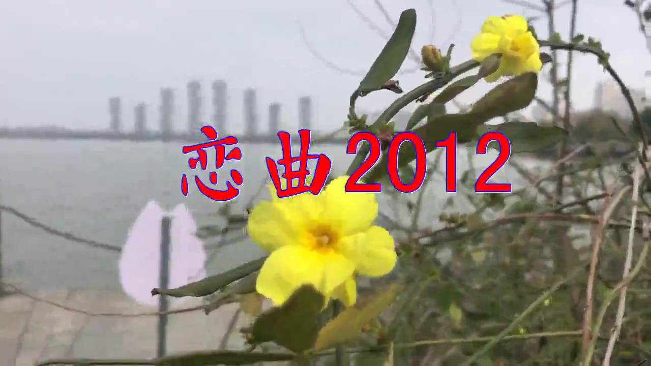dj何鹏《恋曲2012》,很喜欢听,此曲声出金石