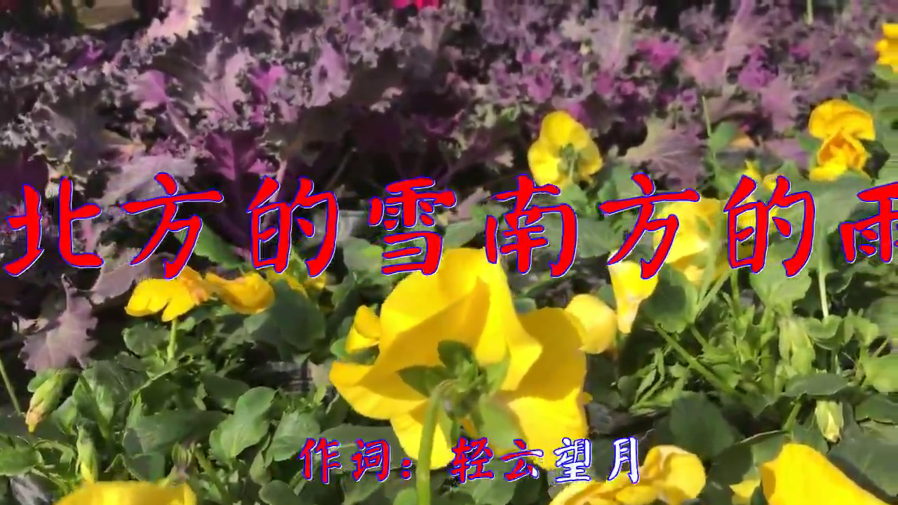 好歌分享,《北方的雪南方的雨》,沉鱼出听,嗓音甜美