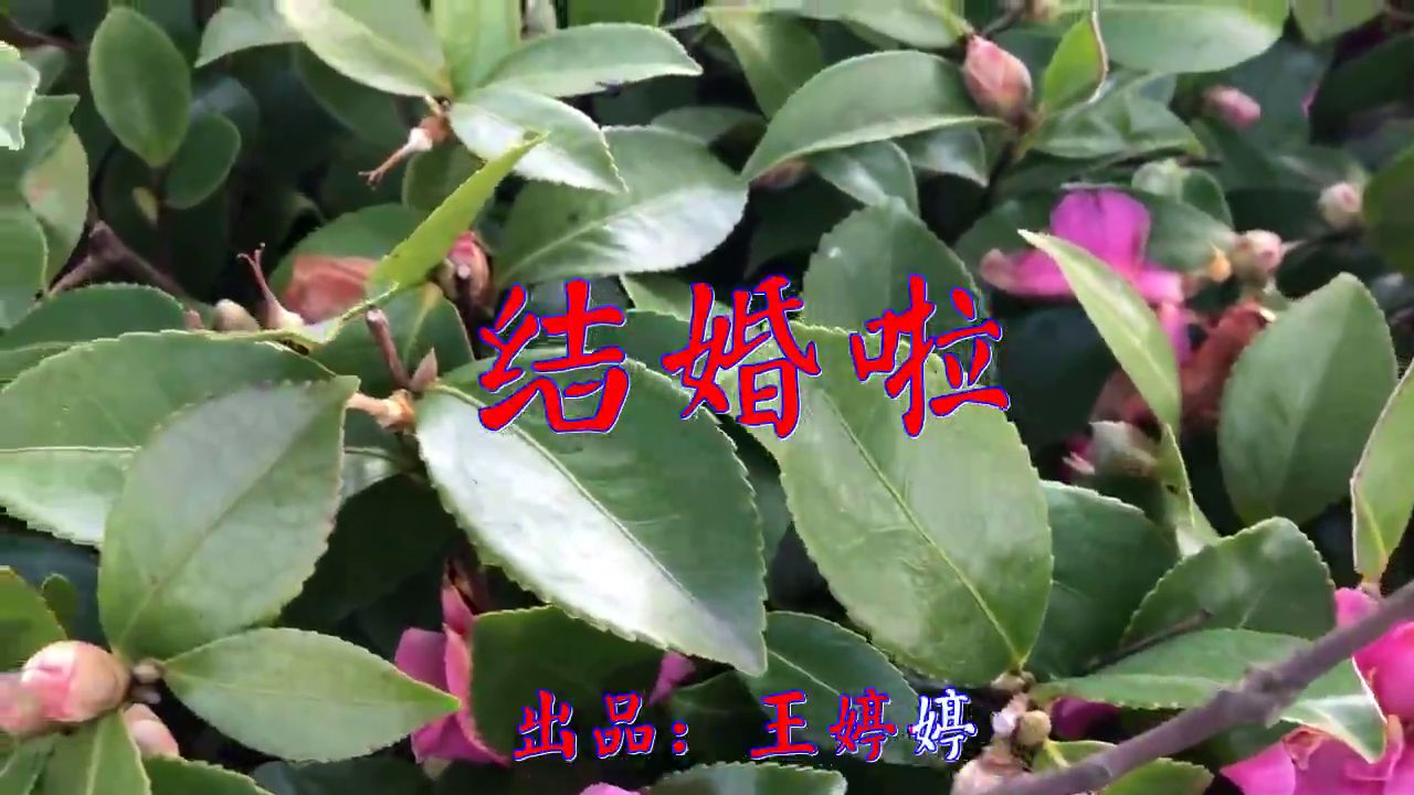 星月组合的一首《结婚啦》,一口气单曲循环整个晚上,太好听了!
