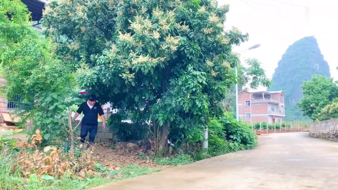 刚哥偶遇广西网红农村四炮,看看炮哥说什么?不愧是大网红