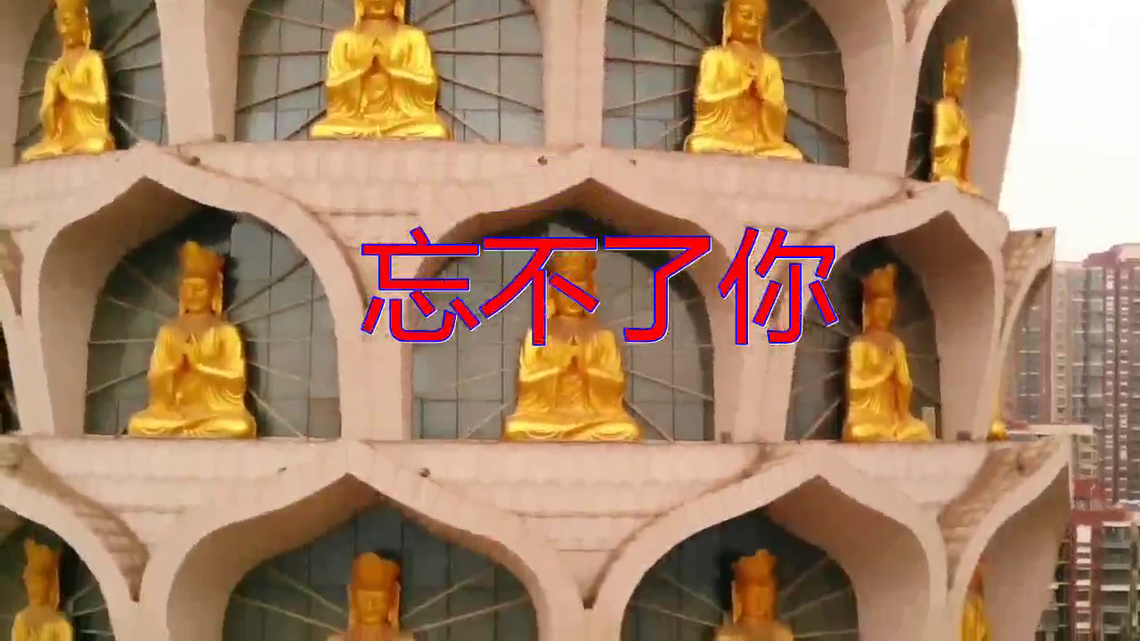 分享谭咏麟的经典歌曲《忘不了你》,旋律动听,唱的好听