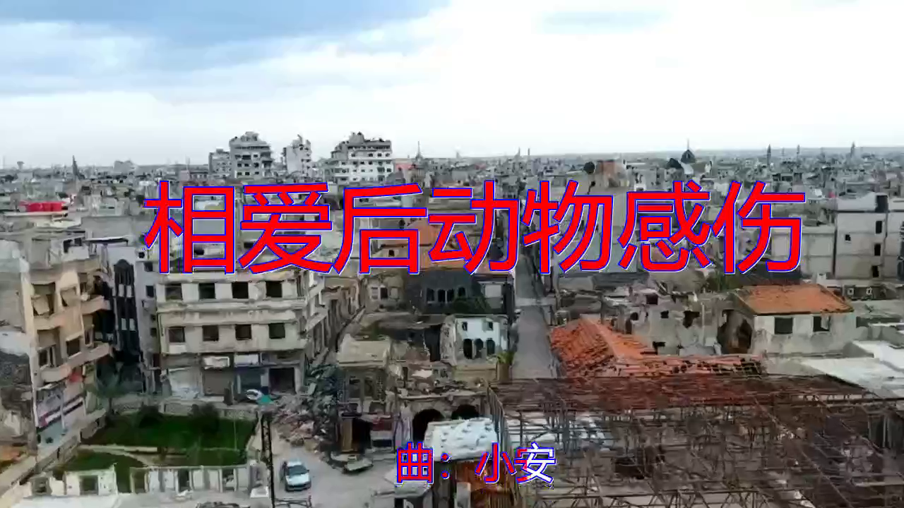 阿朵钟丽缇袁咏琳《相爱后动物感伤》,太有感染力了!