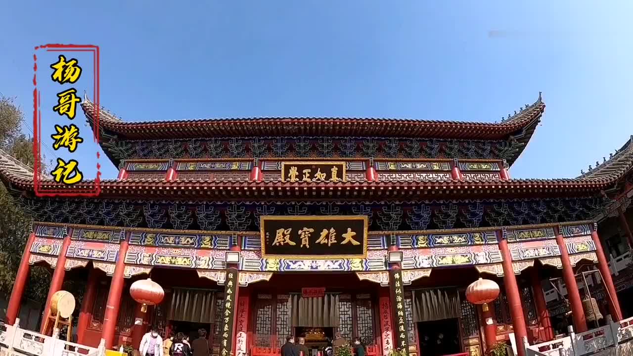 郑州东南地标性景观,法云寺1200年古银杏树发新芽,来摄影人多.