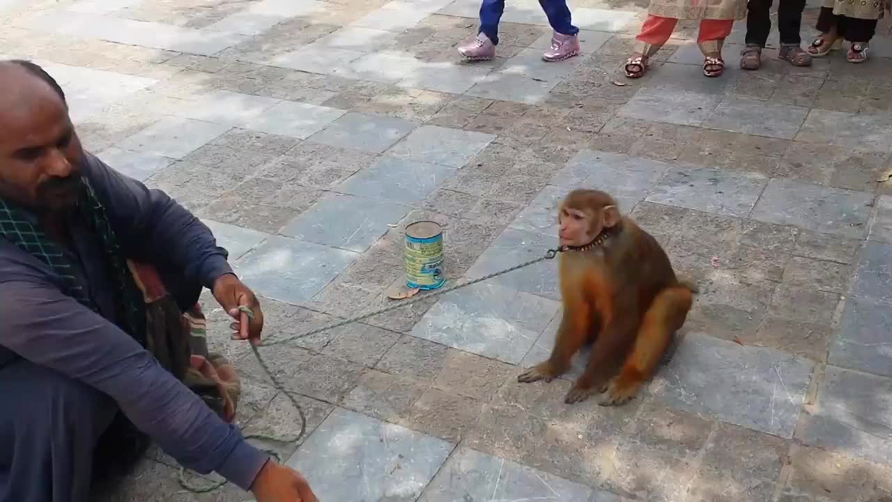 当前浏览器不支持最新的video播放 00:00 01:14 01:14 为您推荐: 猴戏