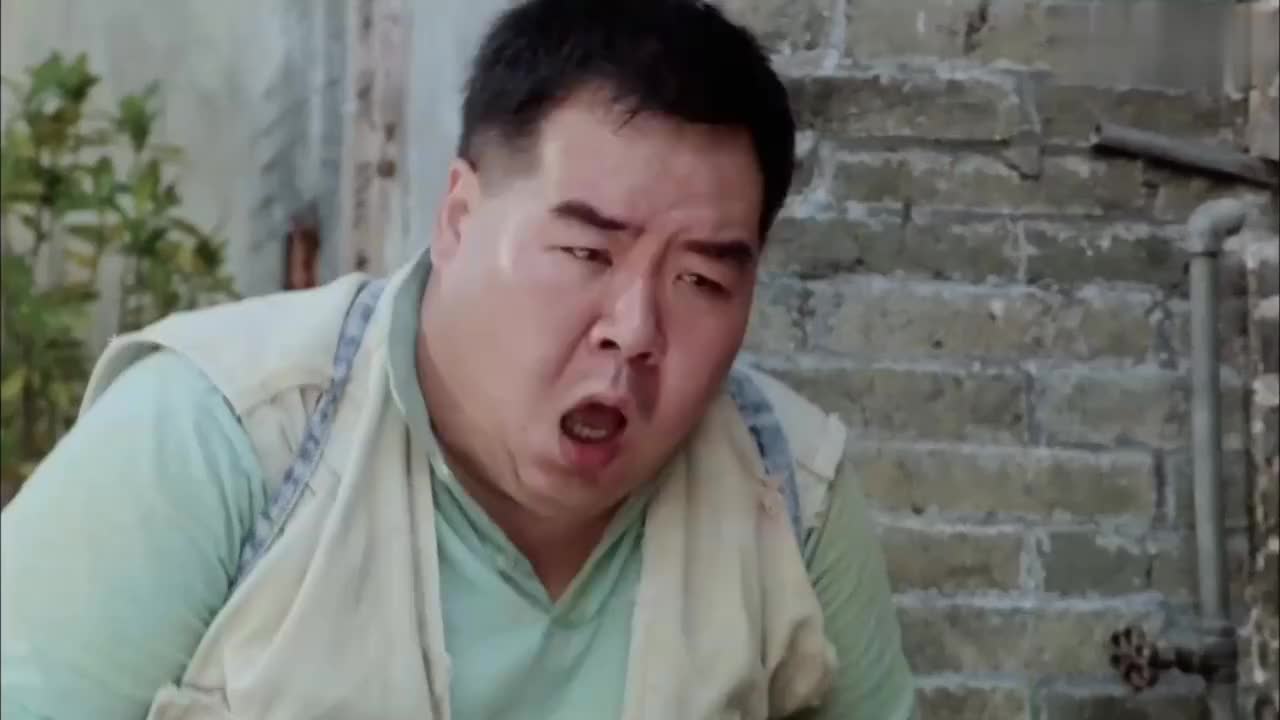 肥猫在岛上流浪,要抢狗饭吃,却被狗咬了