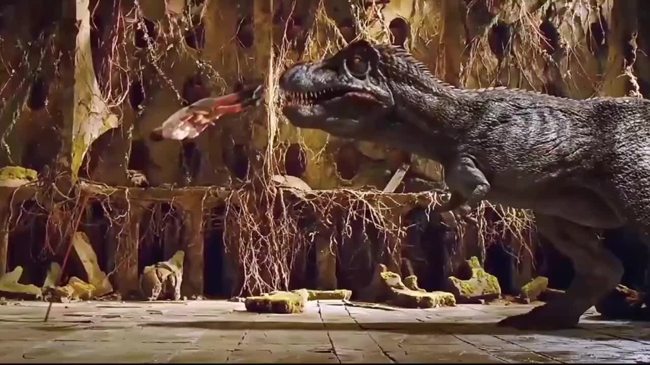 恐龙长这么大,从未见过如此自动投食之人