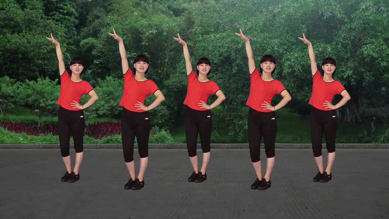 广场舞《醉倾城》网红舞曲好听,简单动感背面演示