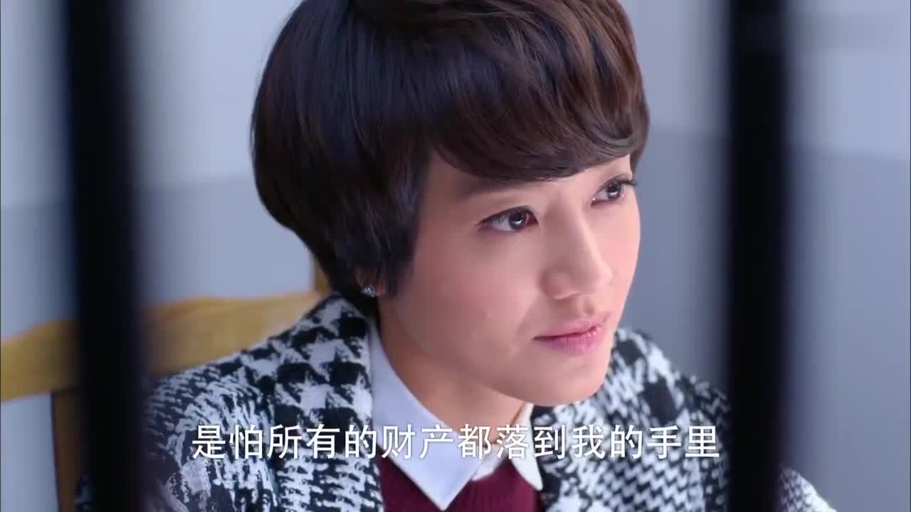 金牌律师第17集:苏东法庭巧举证,贝林欣慰甘认输