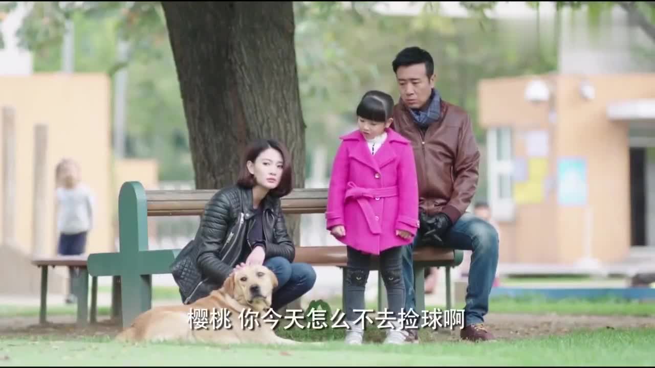 警花与警犬:七喜扔球樱桃没有去捡,它已经跑不动了,看着好难过
