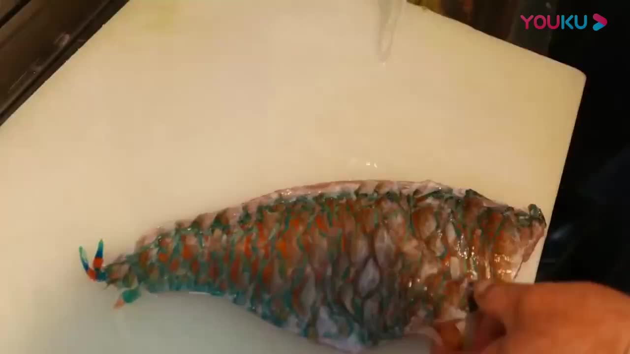 拿破仑鱼有多珍贵？<a href=