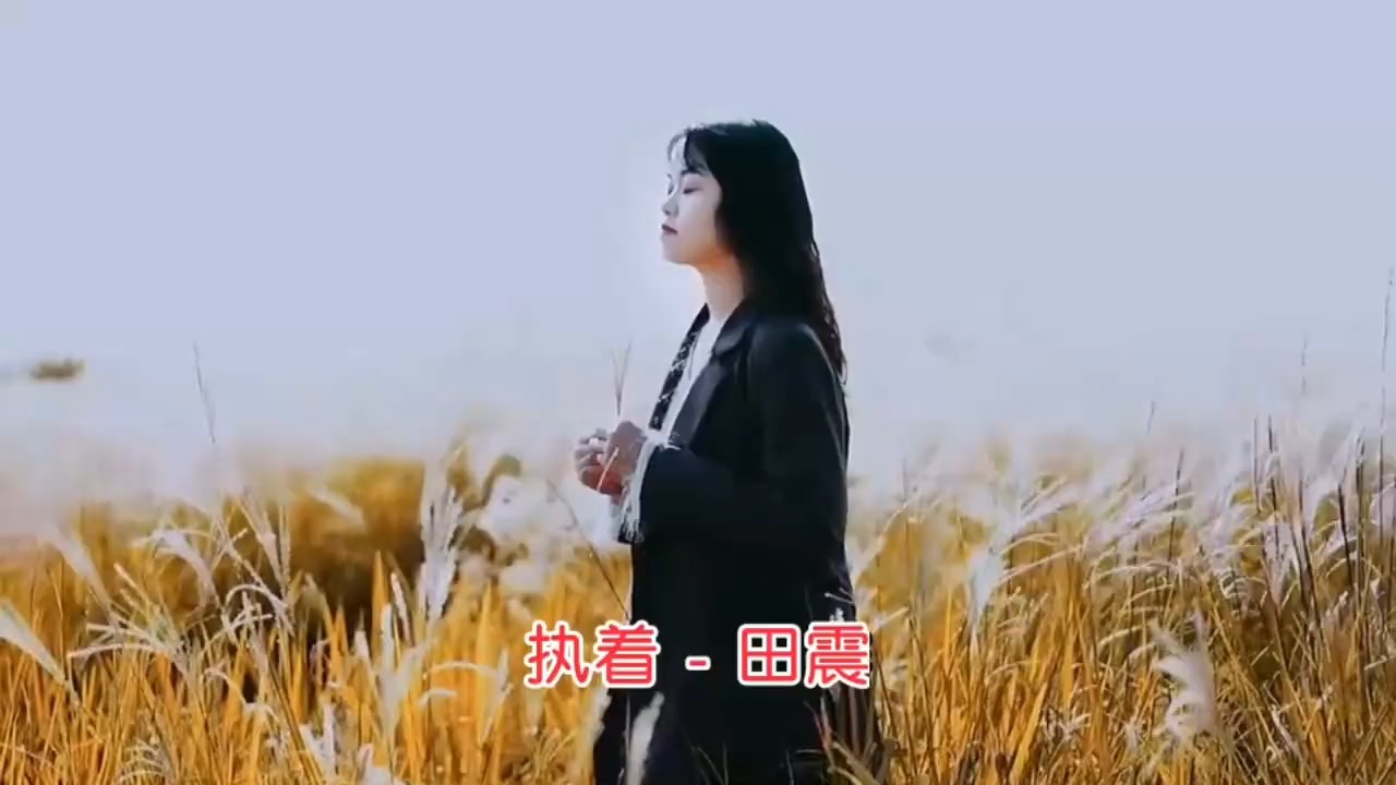 田震《执着》情感深邃，旋律动人，演绎爱情中的坚韧与纯真！