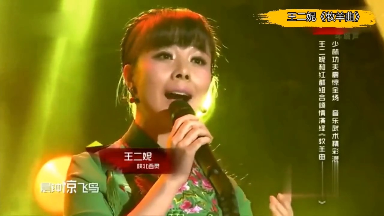 王二妮、毛不易、刘涛同唱一首歌，这差距明显，专业歌手就是不同