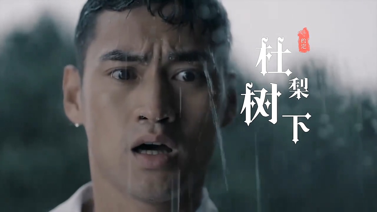 陕北黑豆三妹组合新歌《杜梨树下》MV