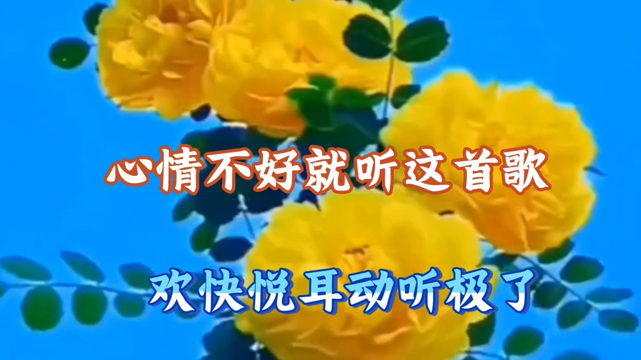 心情不好就听这首歌《阿妹阿妹像桃花》，节奏欢快，太好听了！