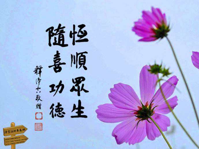 随喜不可思议,简单的事做好了,你就开悟了|功德|福报|普贤_新浪新闻