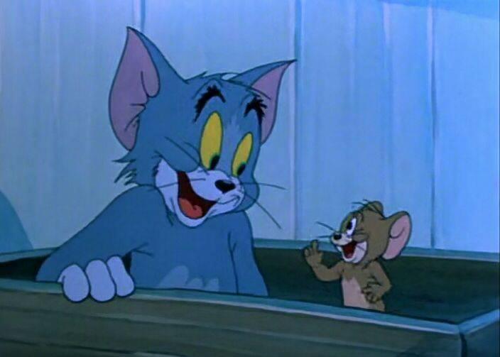 猫和老鼠:汤姆跟杰瑞联合起来,终于把橘猫给赶走了!