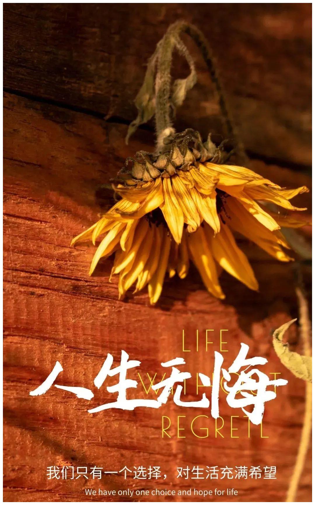 顺其自然,是竭尽所能后的不强求!|人生|尽人事|痛苦_新浪新闻