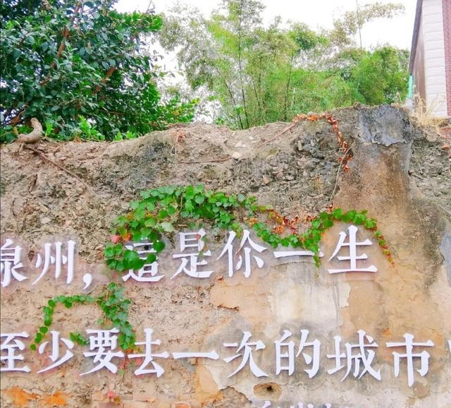 泉州这是你一生至少要去一次的城市白岩松