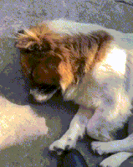 女友新买的裤子非要问我好不好看，我看完顿时感觉好饿啊哈哈哈哈休闲区蓝鸢梦想 - Www.slyday.coM