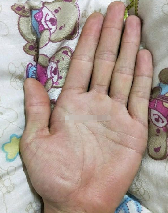 通贯掌会大器晚成,偏财比较旺,适合自由职业,不适合上班|感情|上班|感