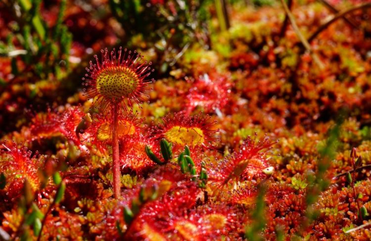 4月，熬过桃花劫，避开烂桃花，爱情降临的3个星座