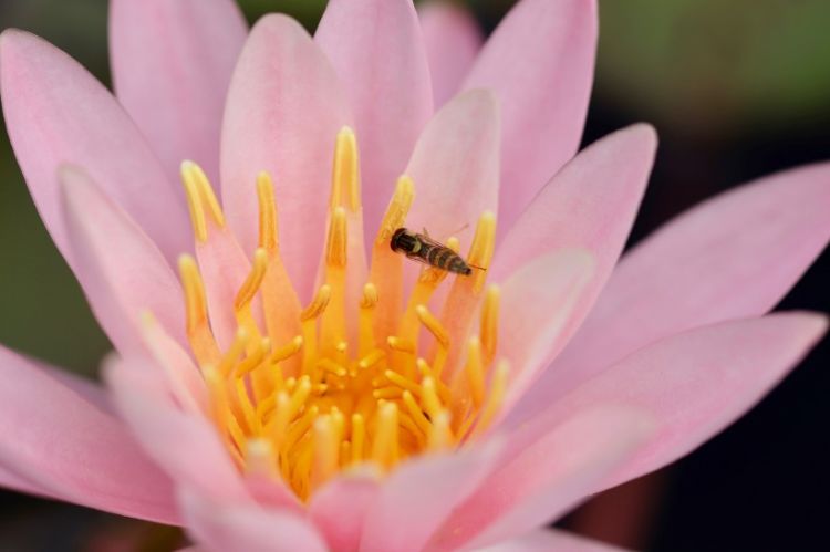 4月初，枯树生花，重温旧梦，旧爱回首的3个生肖