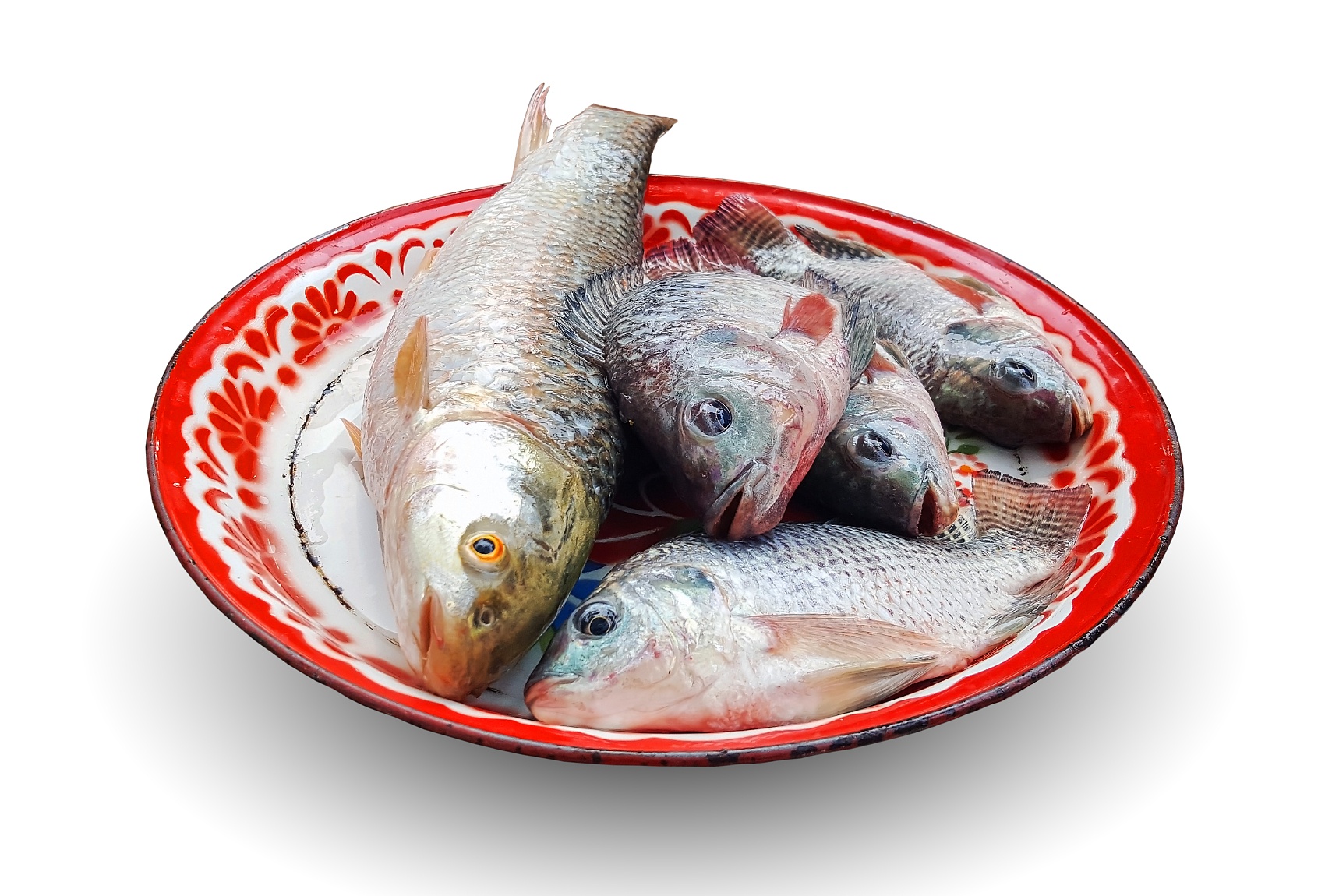 舌尖上的吉林市丨有一种美食鱼宴叫“三花一岛”_澎湃号·政务_澎湃新闻-The Paper